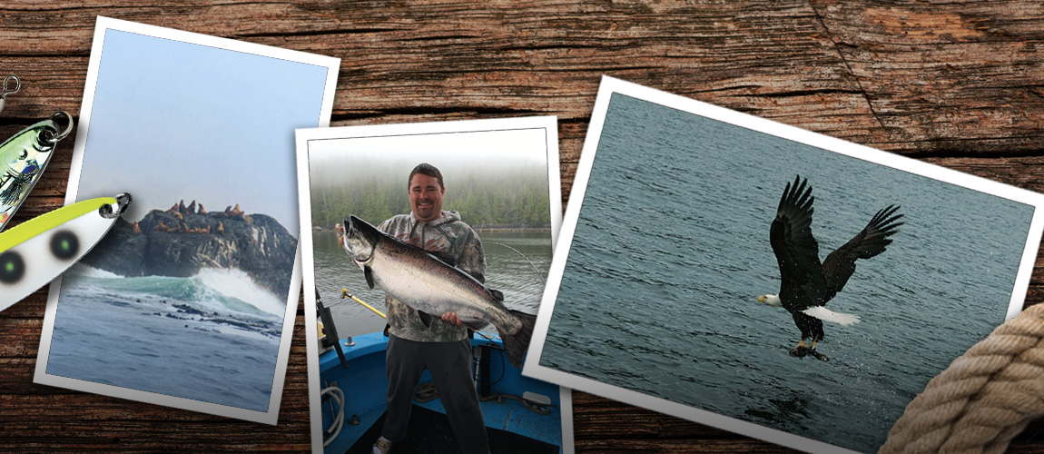 Wildlife and fishing in Barkley Sound