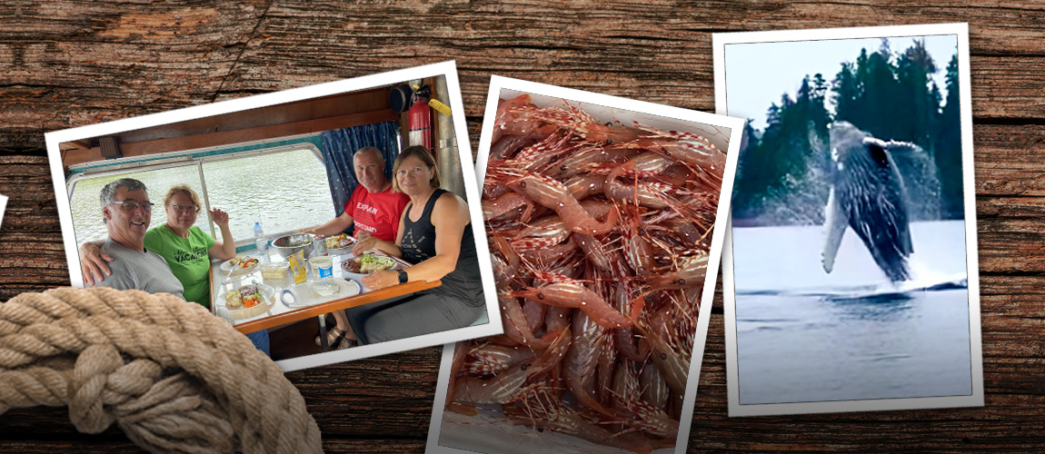 Whales, prawns and boat life while onboard the SilverFox Marine Charters