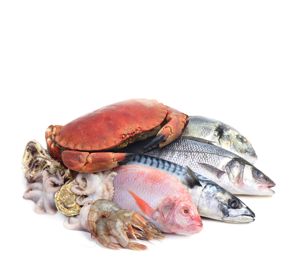 IMG fresh-seafood-isolated
